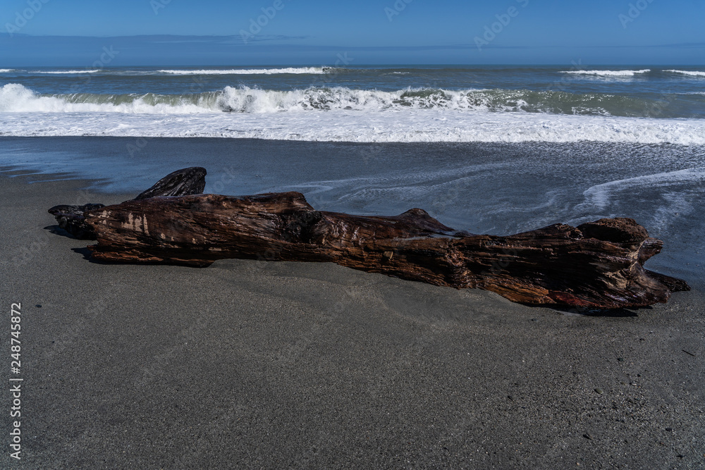 dead wood on the beach of hotikita New Zealand, amazing beach in new zealand, amazing ocean image with beach and waves, old wood on the beach of New Zealand dead wood on the beach of hotikita New Zealand, amazing beach in new zealand, amazing ocean image with beach and waves, old wood on the beach of New Zealand