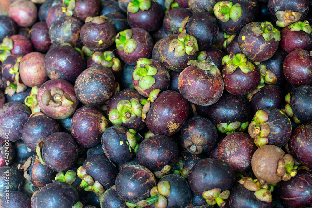 Fototapeta premium Fresh mangosteen on Thailand fresh market
