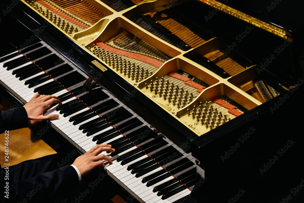 Hands of classical pianist playing his piano during a concert. Hands of classical pianist playing his piano during a concert.