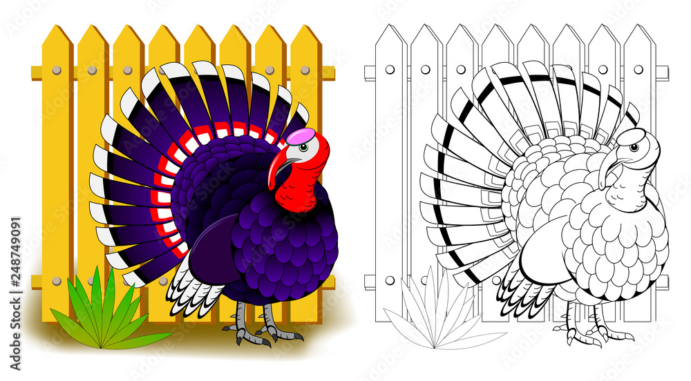 Fantasy illustration of cute turkey. Colorful and black and white page for coloring book ...