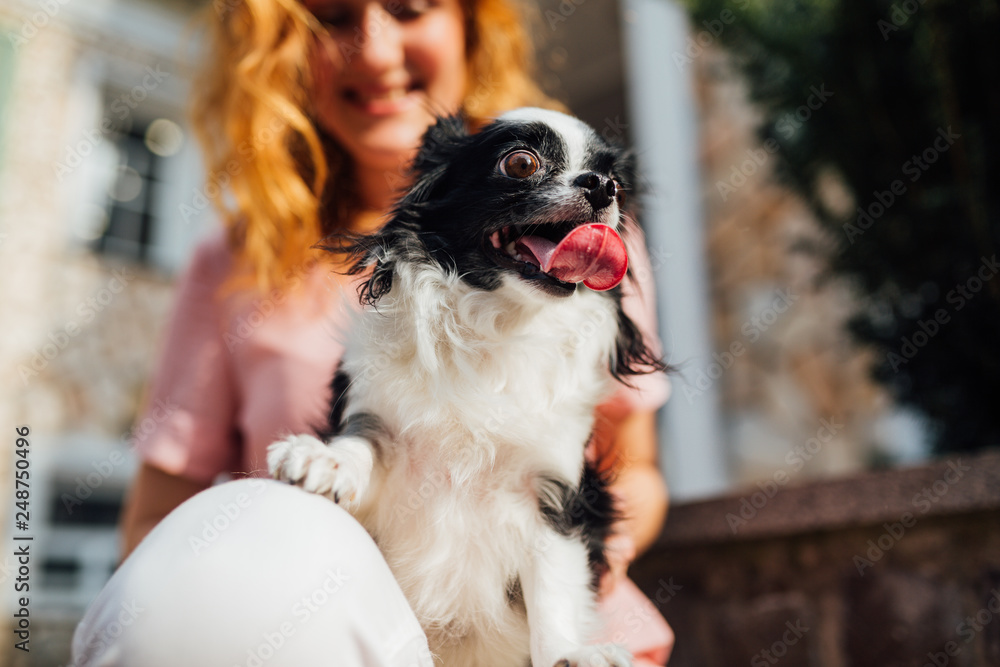 The theme is the friendship of man and animal. Beautiful young red hair Caucasian woman holding a pet dog Chihuahua breed near a house building in the summer in sunny weather