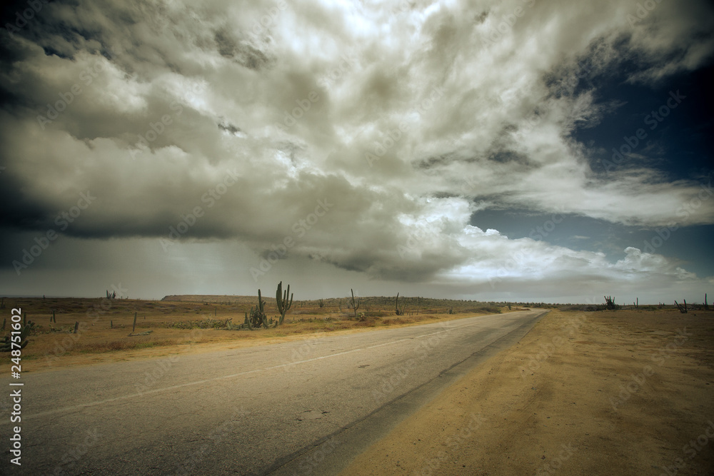 Desolate desert road with dramatic clouds in sky and cactus