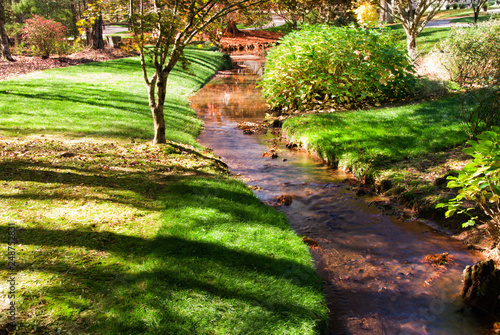 Autumn Season Garden with a Flowing Stream and Reflections © Laura Ballard