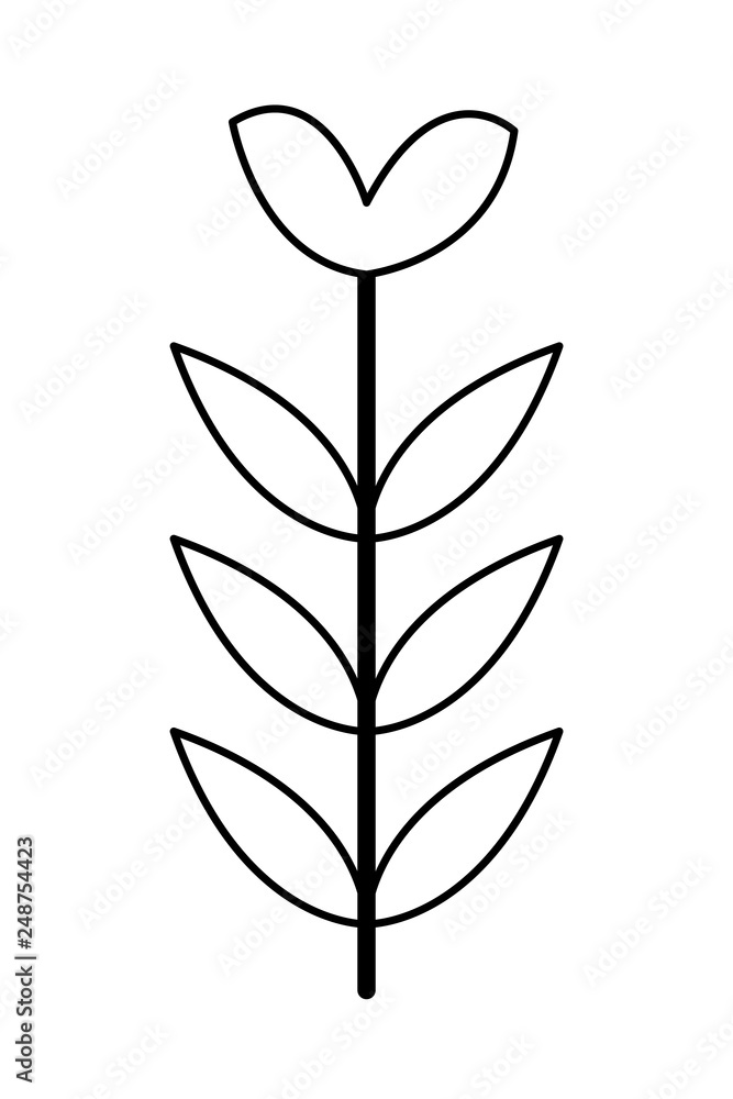 furniture decoration plant black and white furniture decoration plant black and white
