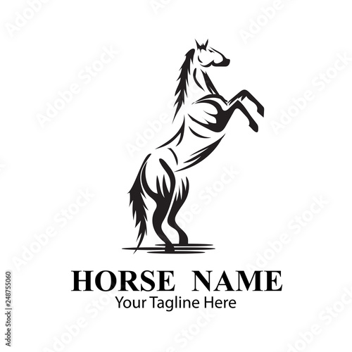 HORSE LOGO DESIGNS CONCEPT