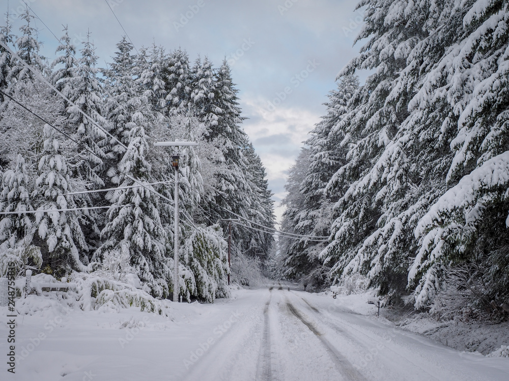 Obraz premium Rural Road After Snow