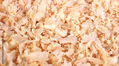 Wood excelsior pet bedding