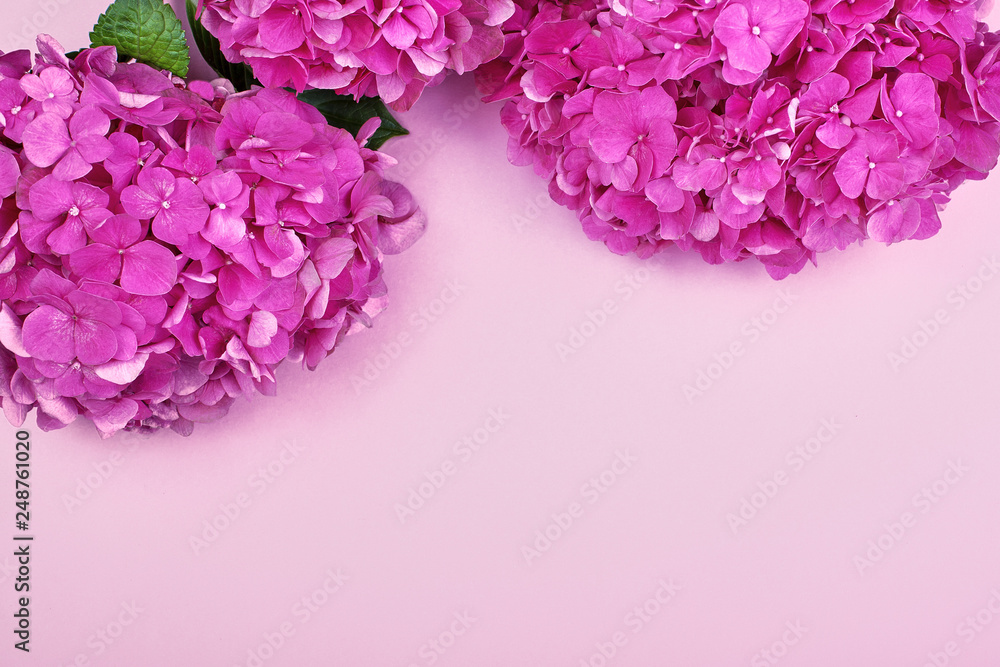 Obraz premium Beautiful floral background and green leaves, texture, wallpaper. Flat-lay of pink hydrangea on rose background, top view, copy space greeting card