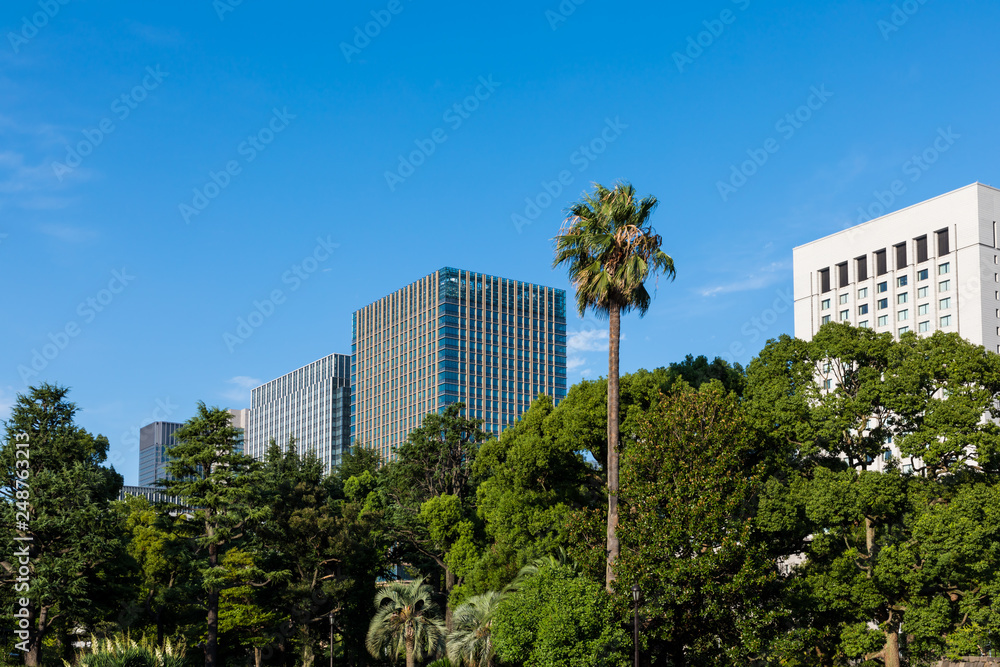 (東京都-都市風景)日比谷公園とオフィスビル群３