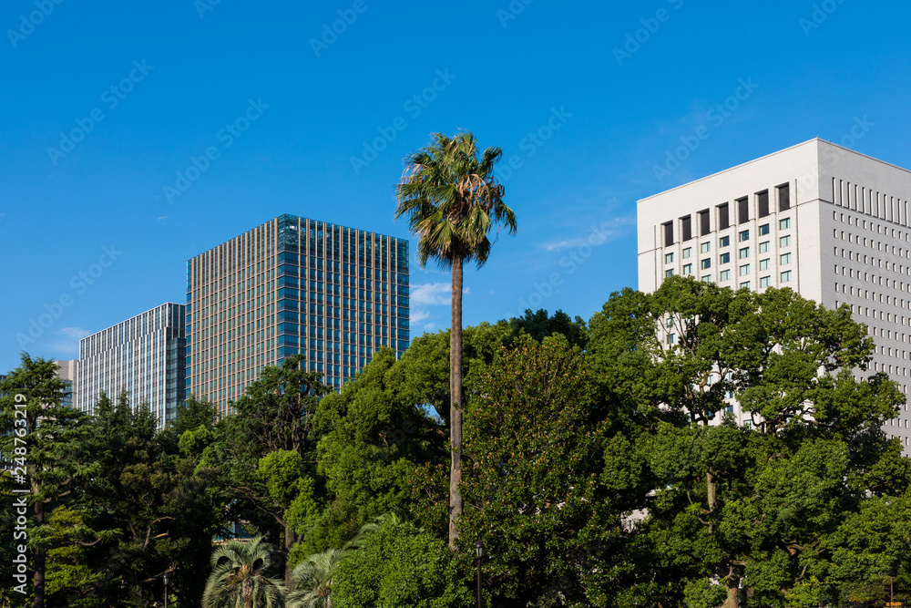 (東京都-都市風景)日比谷公園とオフィスビル群４