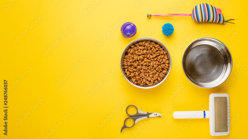 Pet, cat, food and accessories of cat life flat lay, with space for design, on yellow background Pet, cat, food and accessories of cat life flat lay, with space for design, on yellow background