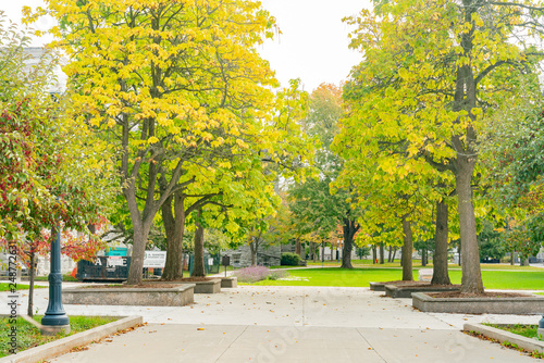 Fall color of the Queen's University © Kit Leong