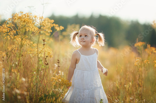 Beautiful baby girl  in white dress walking in a sunny field. Cute baby girl 2-3 year old  playing  in a meadow. 