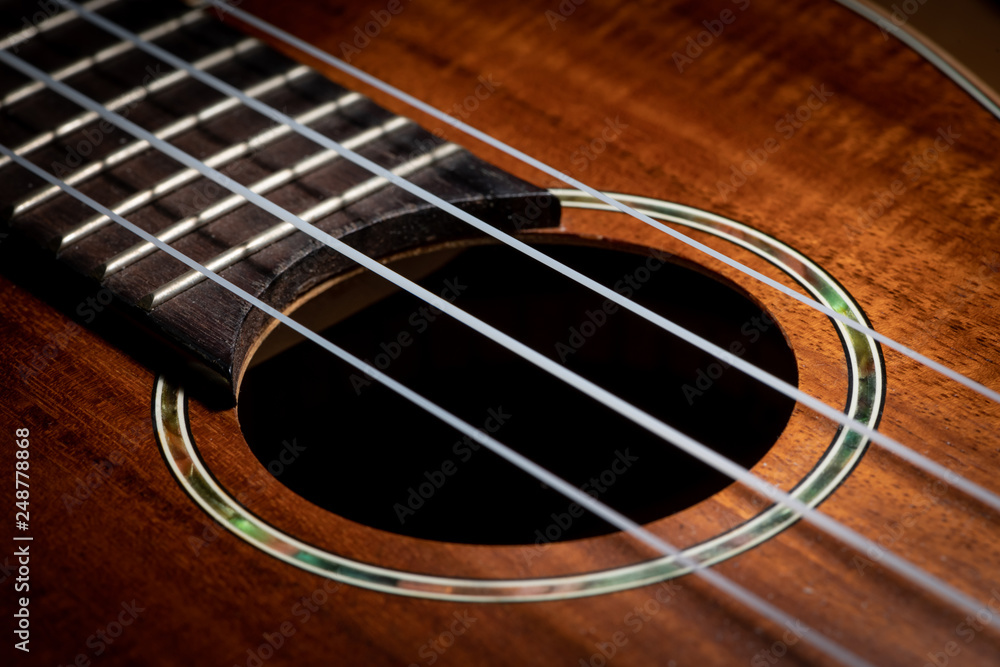 Closeup of a ukulele guitar with strings Closeup of a ukulele guitar with strings