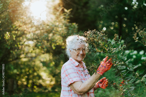 Senior woman tending to the flowers in her garden photo