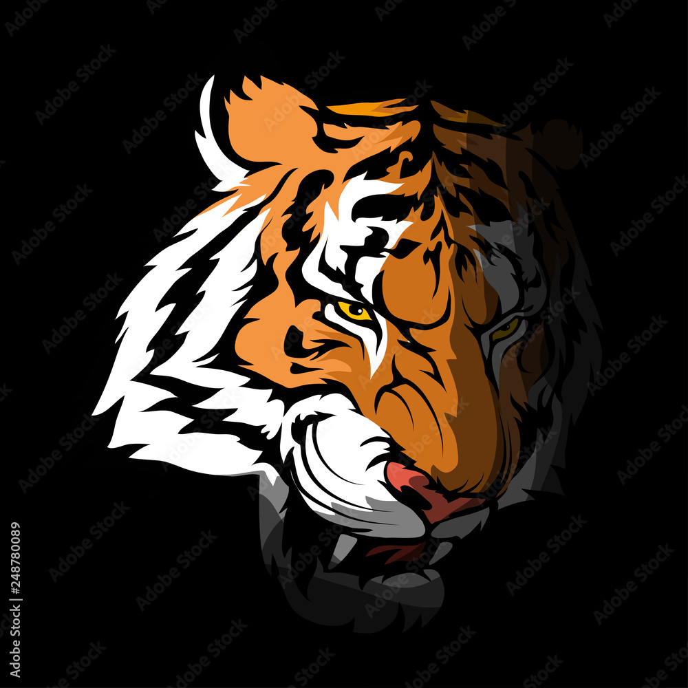 tiger head on black background. Vector graphics to design.