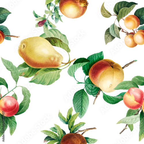 Fruit patterned background