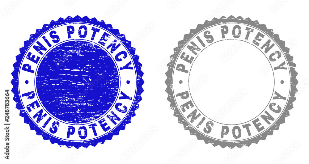 Obraz premium Grunge PENIS POTENCY stamp seals isolated on a white background. Rosette seals with grunge texture in blue and gray colors. Vector rubber watermark of PENIS POTENCY caption inside round rosette.
