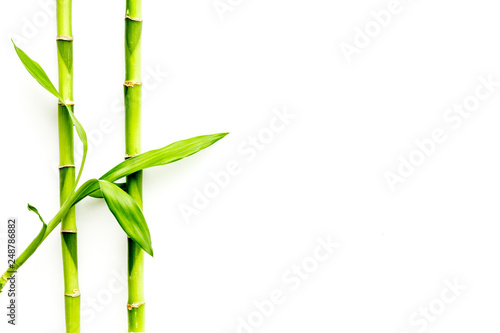 Fototapeta Naklejka Na Ścianę i Meble -  Asian background. Green bamboo branches on white wooden background top view space for text