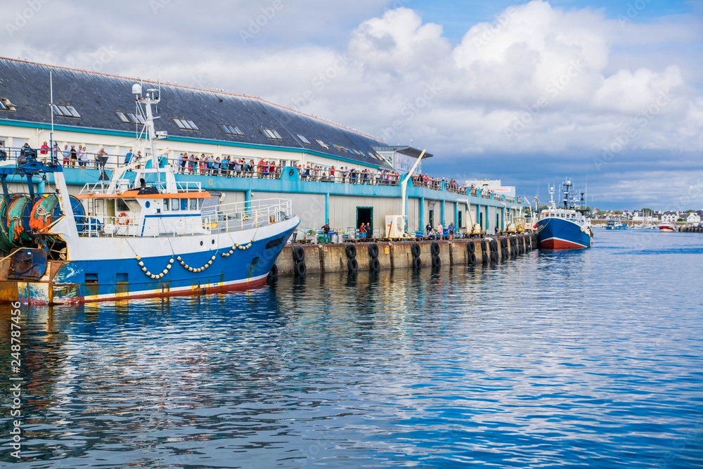 Fototapeta premium Guilvinec, retour de pêche, Finistère, France.