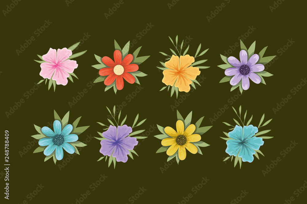 set of spring flowers