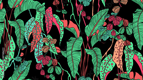 Tropical plants seamless pattern, Bird of paradise, Begonia Maculata and Hoya obovata on black background