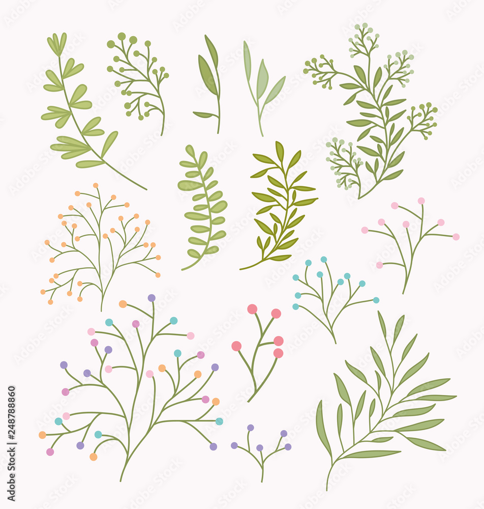 set of spring branches and leafs set of spring branches and leafs