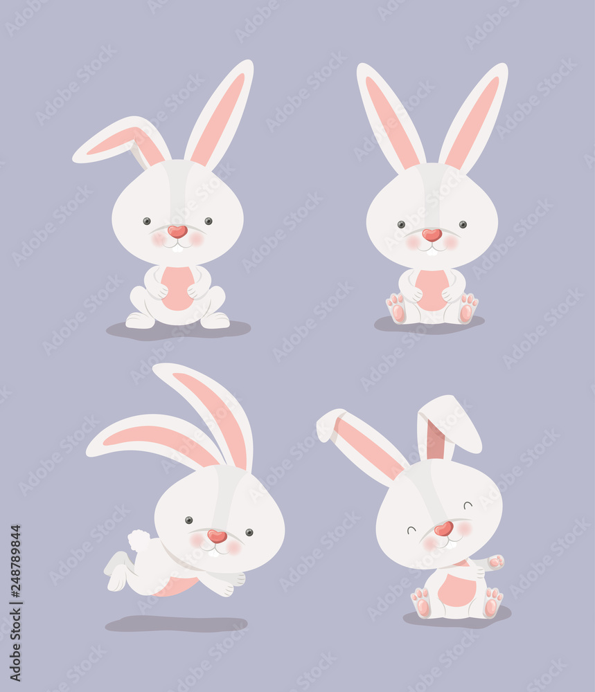 group of cute rabbits group of cute rabbits