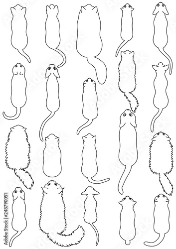 cats line art top view set
