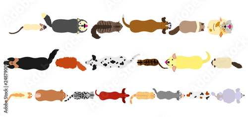 dogs and cats border set