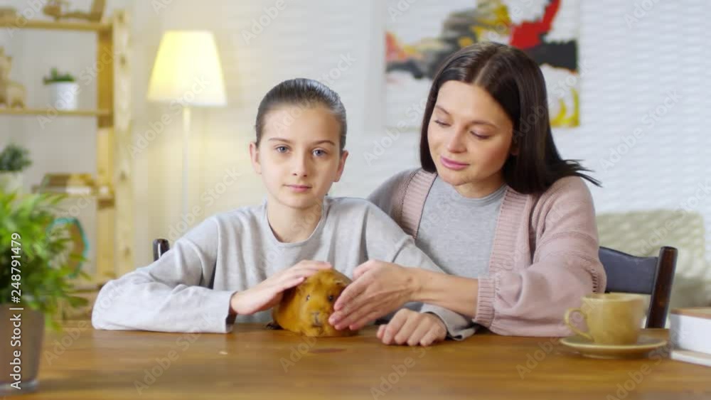 Lockdown of Caucasian middle-aged woman sitting at table with her daughter, caressing guiney pig and communicating with veterinarian by video call Lockdown of Caucasian middle-aged woman sitting at table with her daughter, caressing guiney pig and communicating with veterinarian by video call