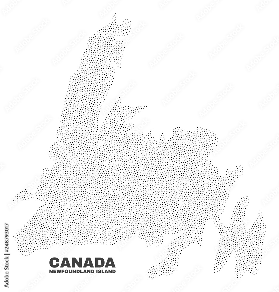 Newfoundland Island map designed with small dots. Vector abstraction in ...