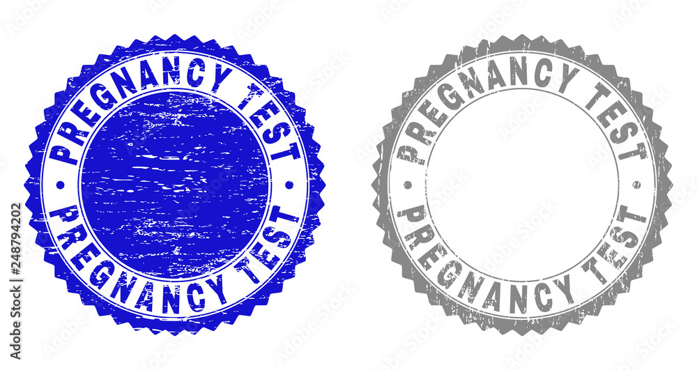 Grunge PREGNANCY TEST watermarks isolated on a white background. Rosette seals with grunge texture in blue and gray colors. Vector rubber stamp imprint of PREGNANCY TEST caption inside round rosette. Grunge PREGNANCY TEST watermarks isolated on a white background. Rosette seals with grunge texture in blue and gray colors. Vector rubber stamp imprint of PREGNANCY TEST caption inside round rosette.