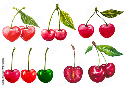 Cherry fruit painting.Painted with watercolor.
