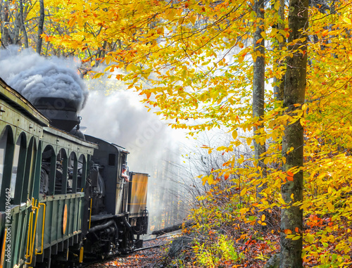 An old vintage train with thick smoke making its way through the woods in WV, with beautiful autumn colors and foliage. Shot near Cass, WV, USA. photo