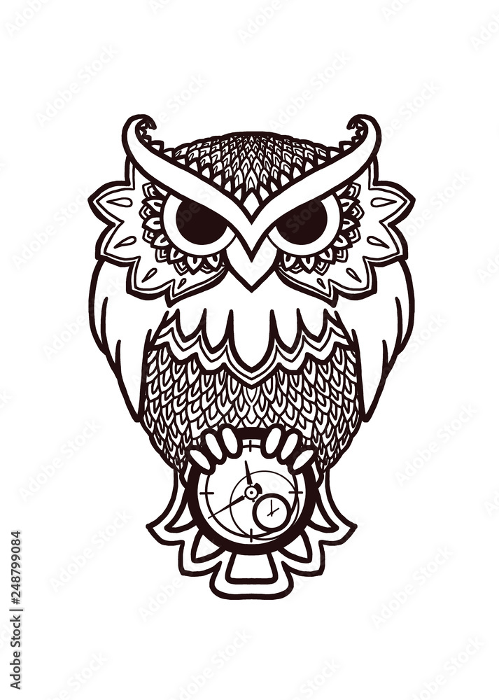 Obraz premium owl with a clock