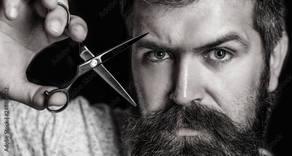Obraz premium Barber scissors, barber shop. Brutal male, hipster with moustache. Male in barbershop, haircut, shaving. Portrait of stylish beard man, scissors. Bearded man, bearded male. Mans haircut in barber shop