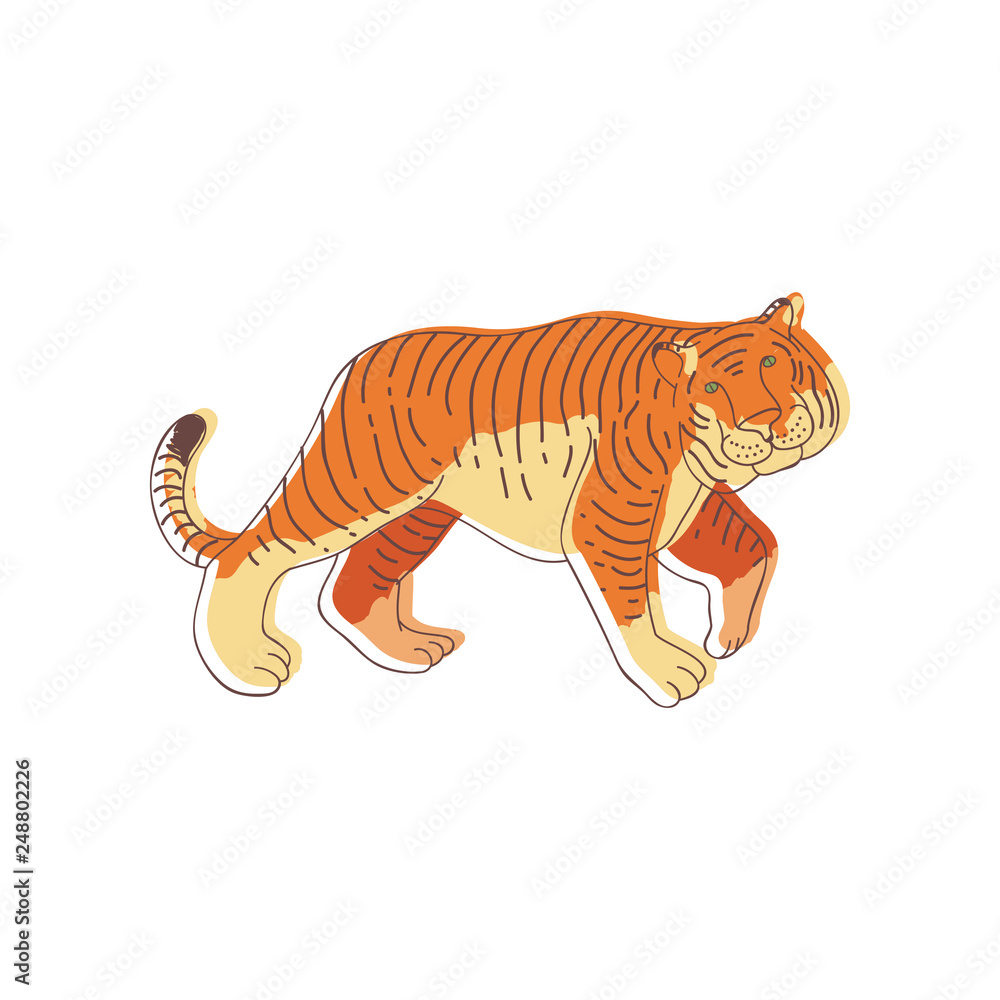 Tigers Wild Cat Vector & Photo (Free Trial)