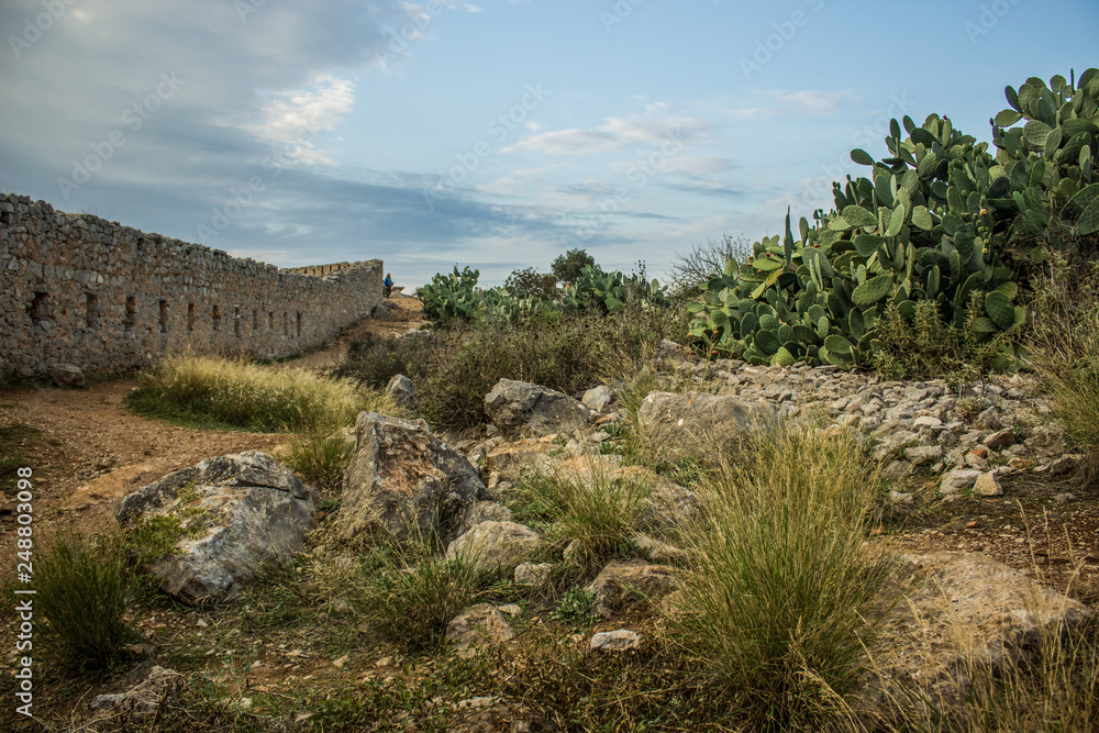 European castle ruins stone wall in country side dry stone rocky with cactus natural environment 