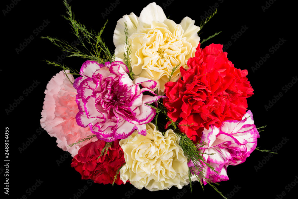 Bouqet of multicolour flowers of carnation (Dianthus) isolated on black background, close up