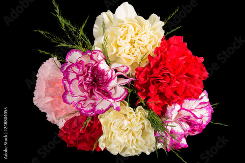 Obraz na płótnie Bouqet of multicolour flowers of carnation (Dianthus) isolated on black background, close up w salonie
