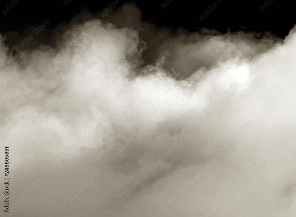 Obraz premium Fog Overlay