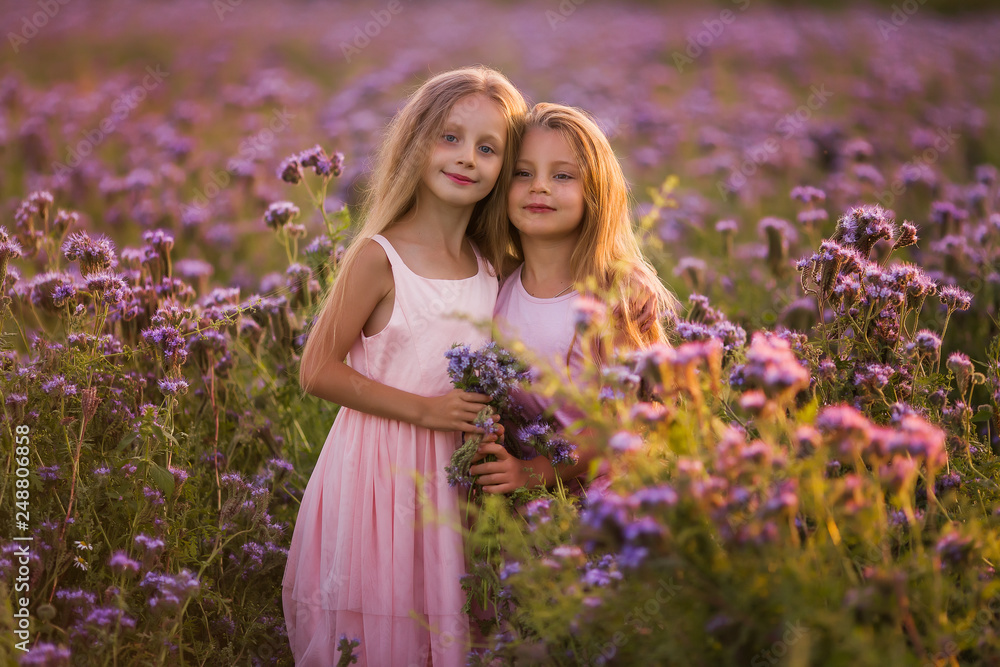 Two beautiful girls with long hair in a blooming field at sunset Two beautiful girls with long hair in a blooming field at sunset