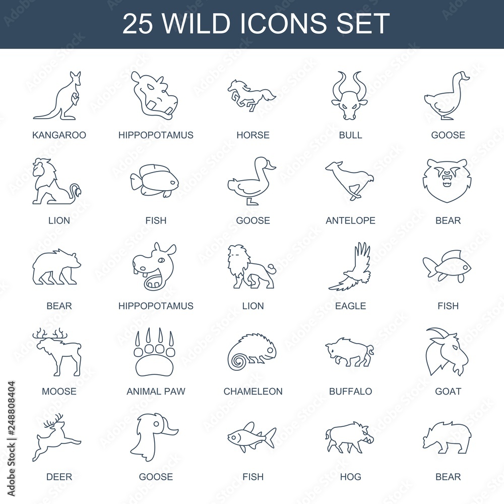 Obraz premium 25 wild icons