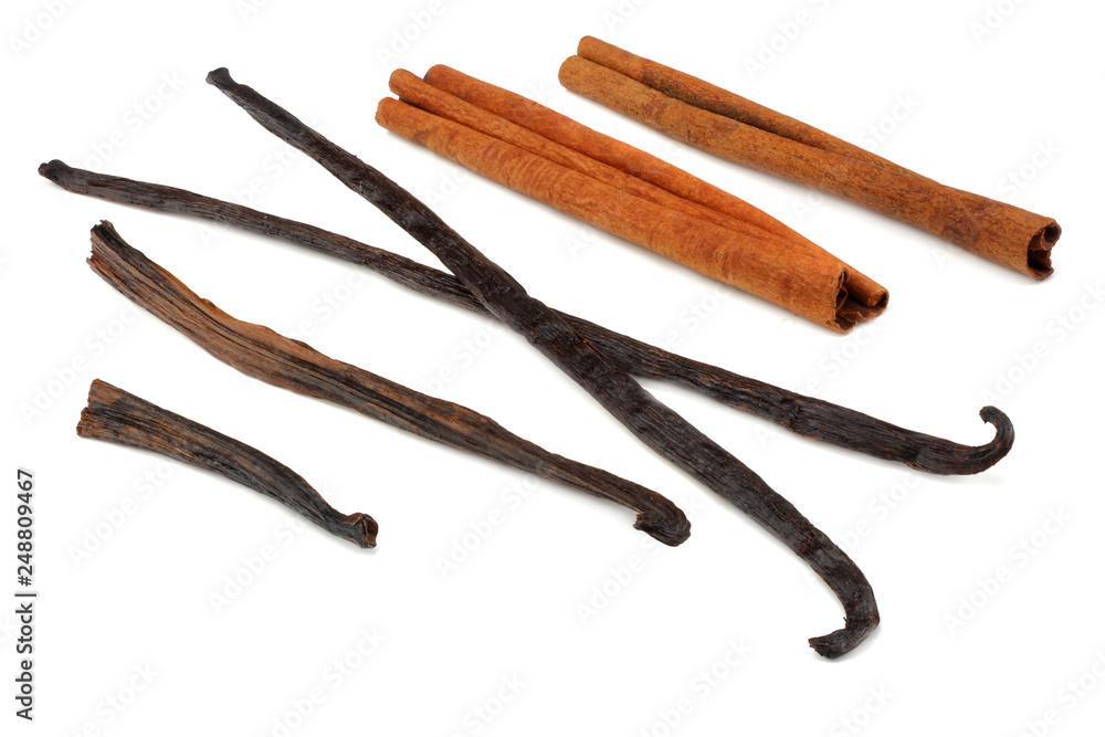 Vanilla sticks isolated on white background. vanilla bean Vanilla sticks isolated on white background. vanilla bean