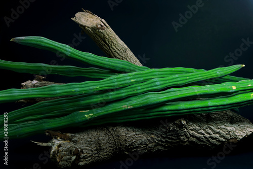 horse radish tree on dry timber for decoration.