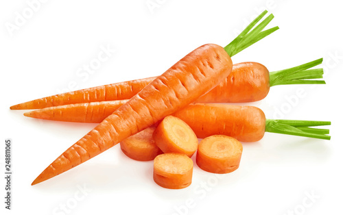 Carrots vector illustration