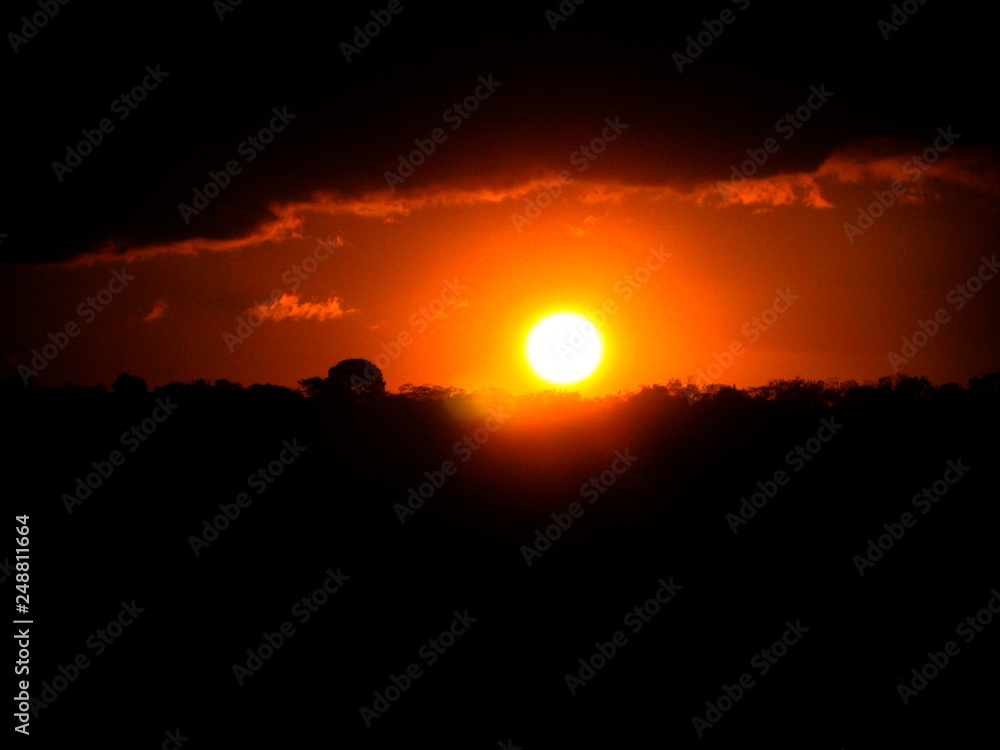 defocused sun at the sunset over the trees, Puebla, Mexico