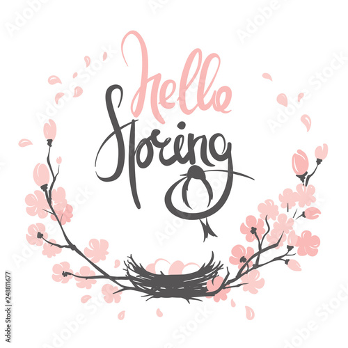 Hello Spring / Vector illustration, nest with eggs on a flowering cherry branch