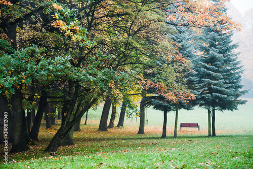 Fototapeta Naklejka Na Ścianę i Meble -  piękna jesień w parku, ławka